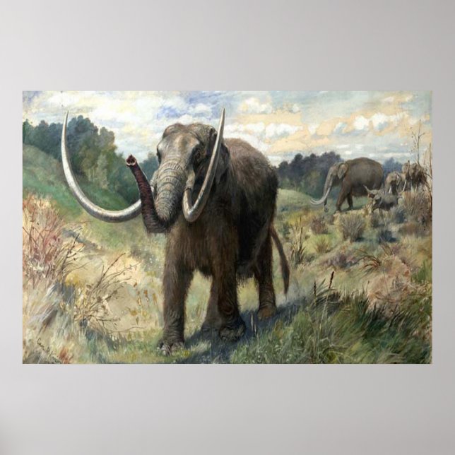 Affiche Wolly Mammoth (Devant)