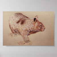 Wombat