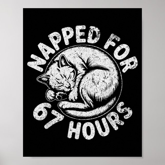Affiche Women Napped For 67 Hours Funny Cat Lover Owner Gi (Devant)