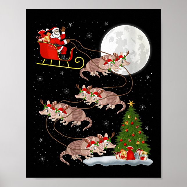 Affiche Womens Armadillo Santa Sleigh Flying Funny Magical (Devant)