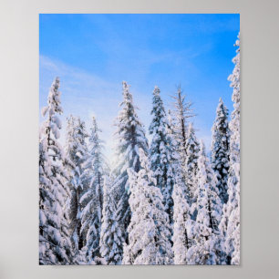 Affiche Wonderland Pine Trees en Neige