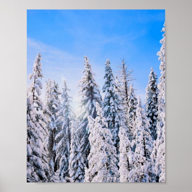 Affiche Wonderland Pine Trees en Neige (Devant)