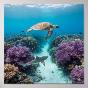 Affiche Wonderland sous-marin : Coral Reef, Sea Turtle