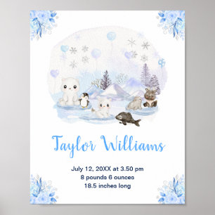 Affiche Wonderland Winter Statistiques de naissance des an