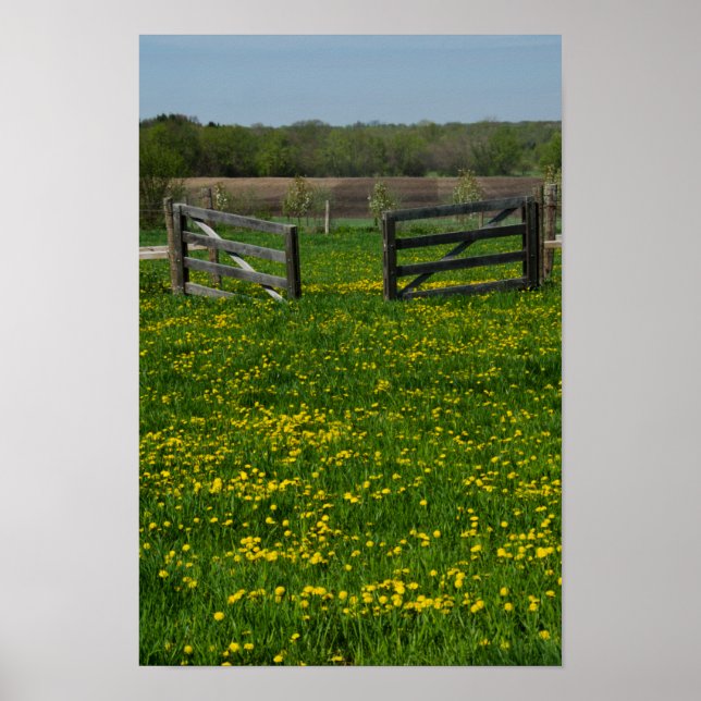 Affiche Wooden Farm Gates (Devant)