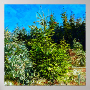 AFFICHE WOODLAND