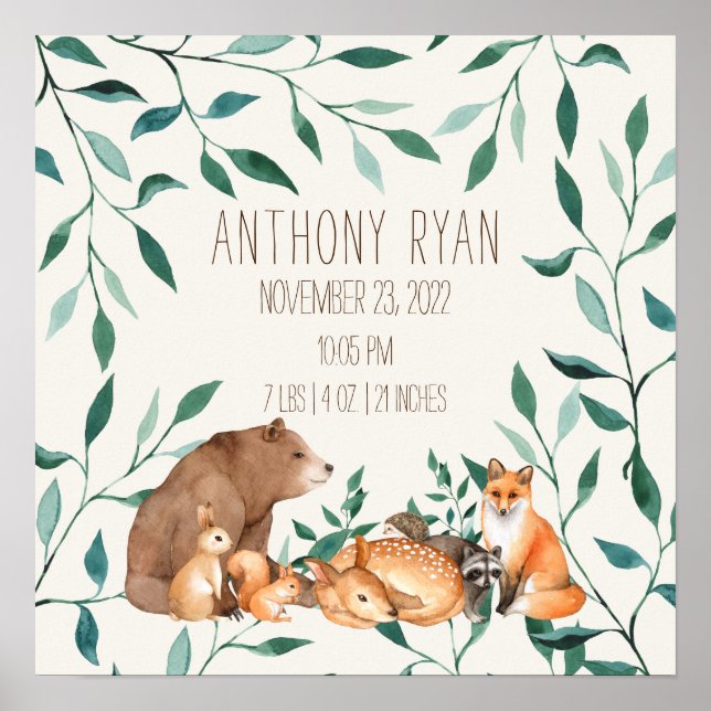 Affiche Woodland Animal Friends Statistiques de naissance (Devant)