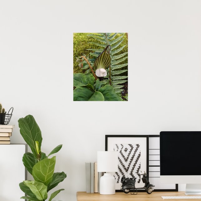 Affiche Woodland Plants Botanic Photographic (Bureau à domicile)