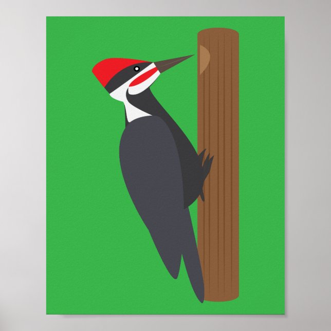 Affiche Woodpecker (Devant)
