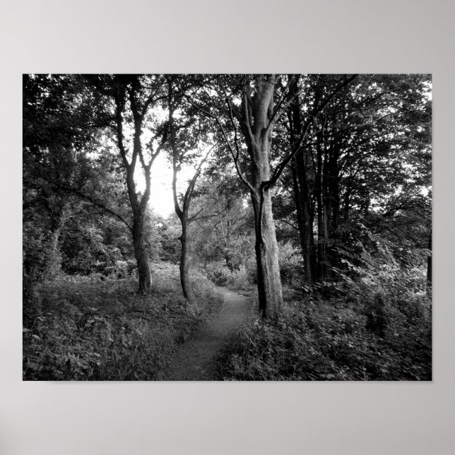 Affiche Woods Bute Park, Cardiff (Devant)