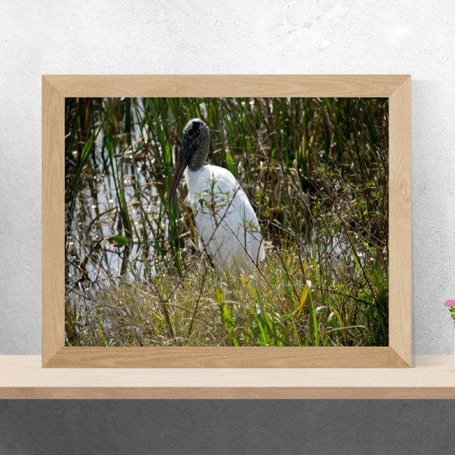 Affiche Woodstork à Viera Wetlands en Floride Photo (A poster of a wood stork enjoying some time in a marsh in Florida on a sunny day)