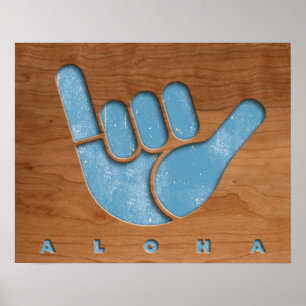 Affiche Woody Aloha Shaka