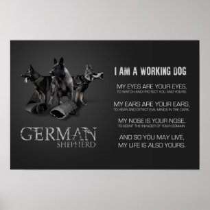 Affiche Working German