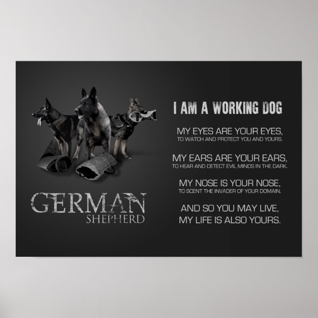 Affiche Working German (Devant)