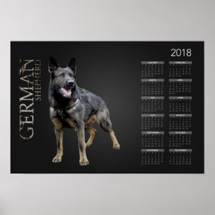 Affiche Working German Shepherd Dog  - GSD Calendar 2018
