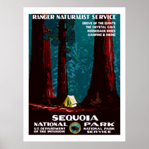 Affiche WPA Camping vintage dans Sequoia Parc National Pos