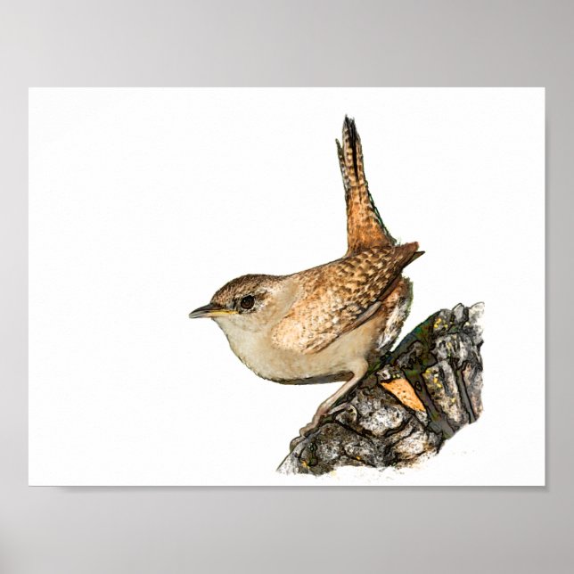 Affiche Wren (Devant)