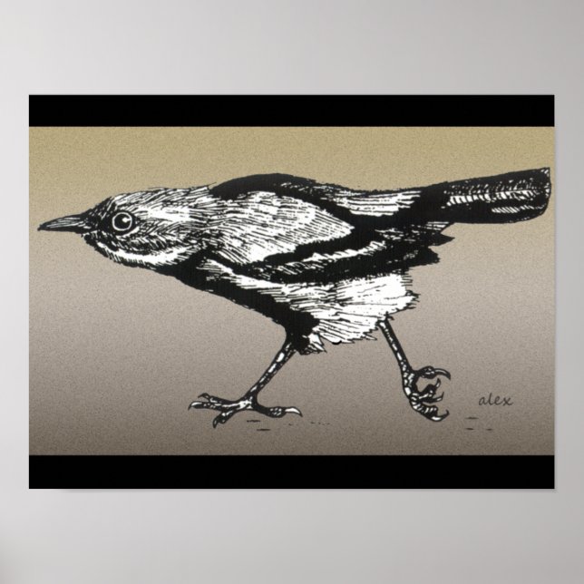 Affiche Wren on the Run (Devant)