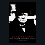 Affiche WWII Quote Winston Churchill Motivational Pop Art<br><div class="desc">Freedom & Courage Motivational  Eagles Images - Fearless American Bald Eagle - Our greatest glory is not in never falling but in rising every time we fall.</div>