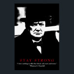 Affiche WWII Quote Winston Churchill Motivational Pop Art<br><div class="desc">Freedom & Courage Motivational  Eagles Images - Fearless American Bald Eagle - Our greatest glory is not in never falling but in rising every time we fall.</div>