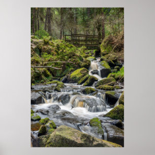 Affiche Wyming Brooke, Sheffield