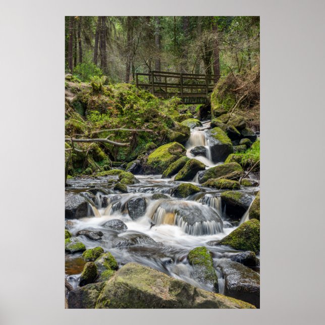 Affiche Wyming Brooke, Sheffield (Devant)