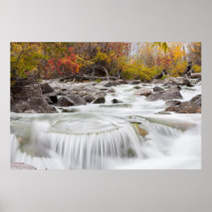 Affiche Wyoming, Comté de Sublette, Pine Creek coulant