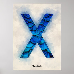 Affiche X est pour Xantus