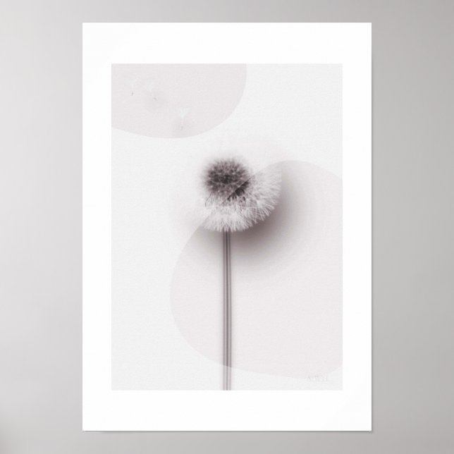 Affiche X-ray Botanical Art - Dandelion (Devant)