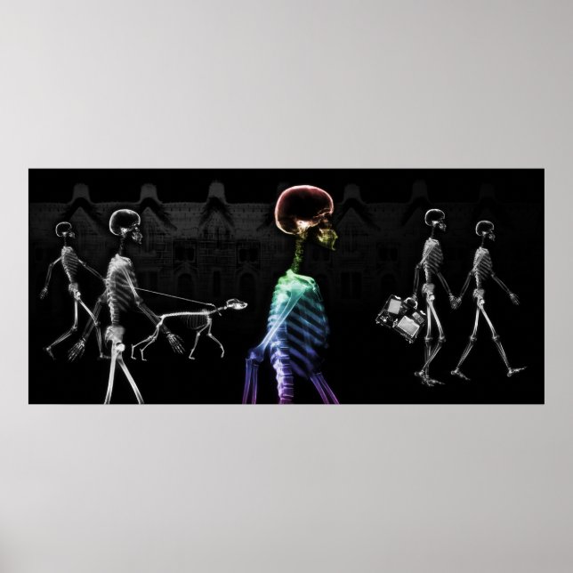 Affiche X-Ray Skeletons Midnight Stroll - B&W & Rainbow (Devant)