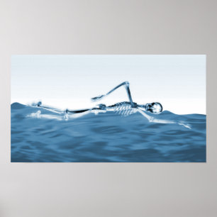 Affiche X-Ray Squelette nager dans le lac Bleu