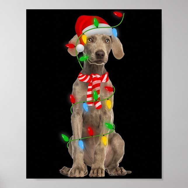Affiche Xmas Lighting Holiday Santa Weimaraner Dog Christm (Devant)