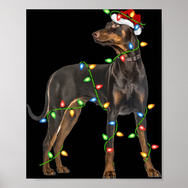 Affiche Xmas Lights Santa Hat Doberman Nscher Dog Christ  (Devant)