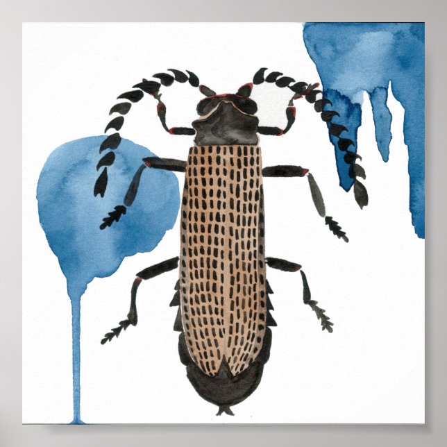 Affiche Xylobanus japonais (Devant)