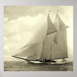 Affiche Yacht 'America' 1910