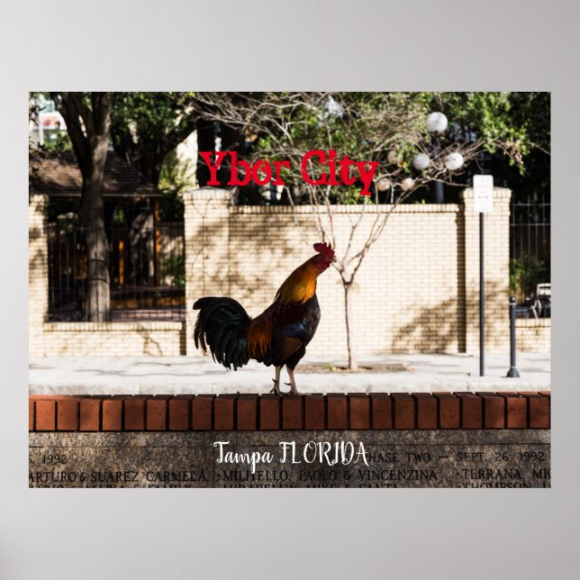 Affiche Ybor City, Tampa FLORIDA (Devant)