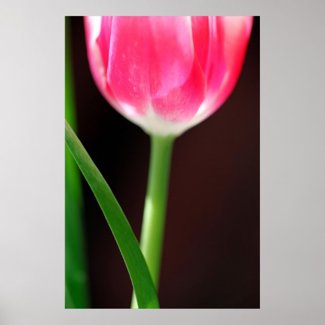 Affiche Yearning (Devant)