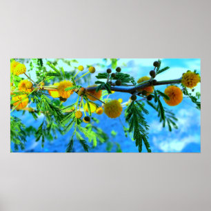 Affiche Yellow Flowers on a Tree Branch