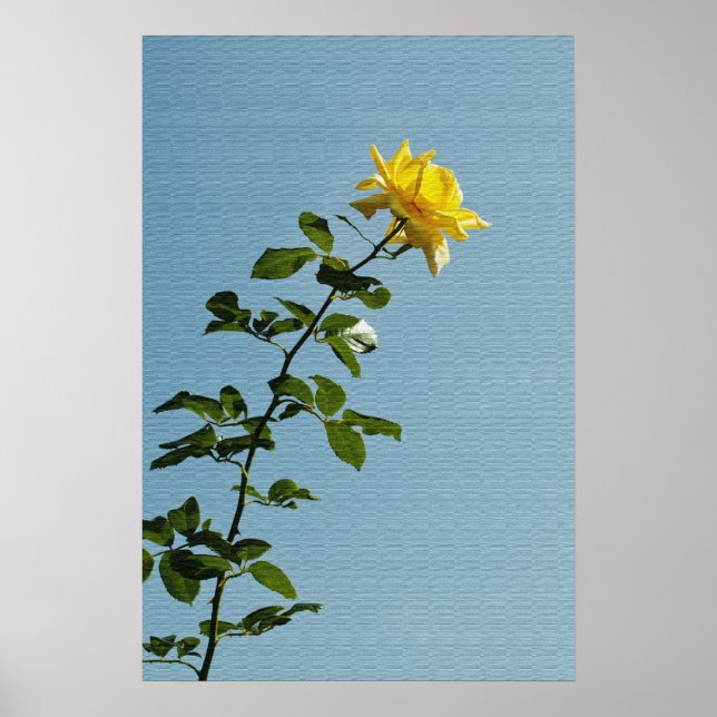 Affiche Yellow Rose (Devant)