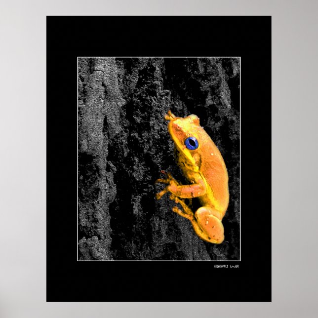 Affiche Yeux bleus (Devant)