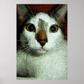 Affiche Yeux de Bud