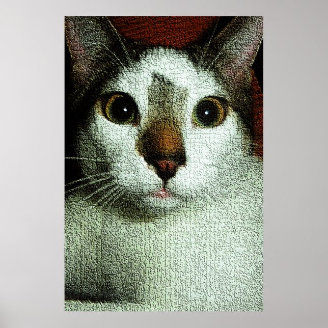 Affiche Yeux de Bud (Devant)