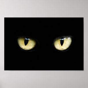 Affiche Yeux de chat