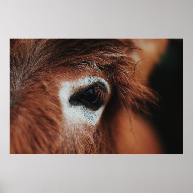 AFFICHE YEUX DE CHEVAL SOMBRE (Devant)