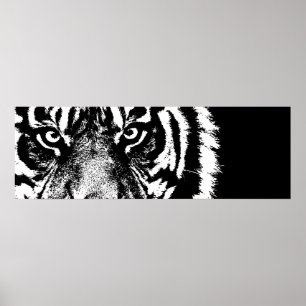 Affiche Yeux de tigre de Sumatra noir et blanc