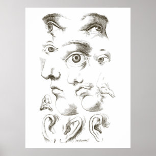 Affiche Yeux, Profil, Dessin des oreilles, 17ème siècle, v