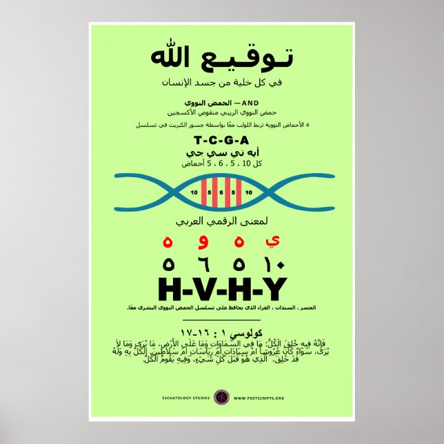 Affiche YHVH dans l'ADN - arabe (Devant)
