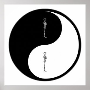 Affiche Yin Yang Chiropractic