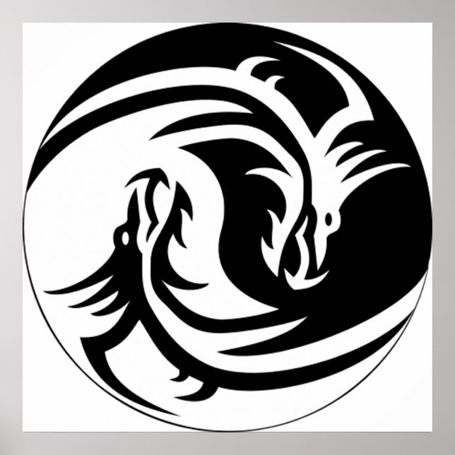 Affiche Yin Yang Dragons (Devant)