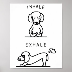 Affiche Yoga Respiration Expiration Dachshund